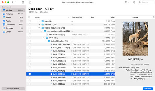 스캔, 검토 및 복구 - Mac용의 단순한 데이터 복구